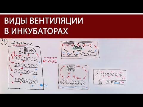 Видео: ШКОЛА ИНКУБАТОРОСТРОЕНИЯ №5 (схемы движения воздуха в заводских и самодельных инкубаторах для яиц)