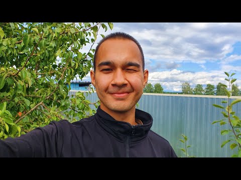 Видео: Полюби Проблемы, и они ИСЧЕЗНУТ. Правильное восприятие Трудностей.