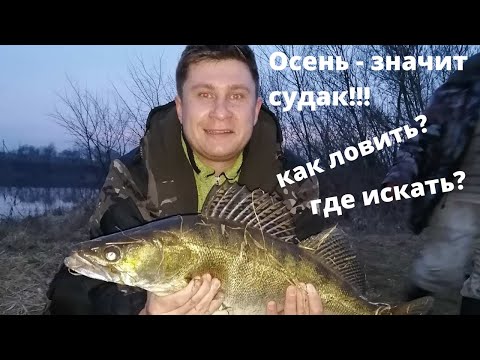 Видео: СУДАК ОСЕНЬЮ!!!ЛУЧШИЕ ПРИМАНКИ... КАК ЛОВИТЬ?ГДЕ ИСКАТЬ?
