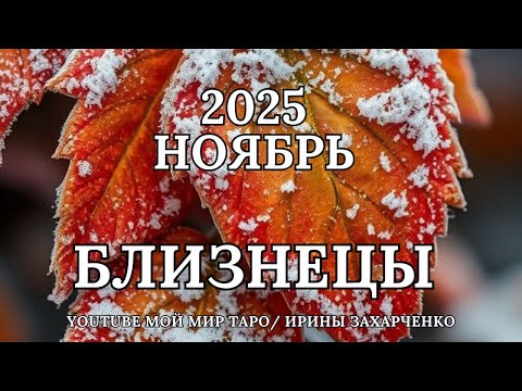 Видео: БЛИЗНЕЦЫ ♊🍂НОЯБРЬ 2025 🍁Таро прогноз для Близнецов/Tarot forecast for Gemini.