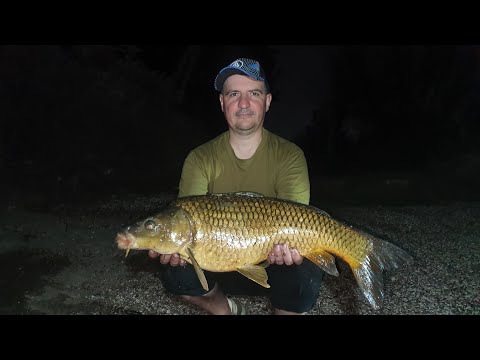 Видео: Кинерет. Рыбалка на карпа с лодки.