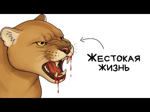 Видео: Ты - пума (И ЭТО ПОЛНЫЙ ОТСТОЙ)