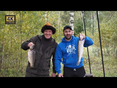 Видео: РЕЦЕПТ УХИ из ЧЕТЫРЁХ ВИДОВ РЫБ.  В гостях у Виталия. настоящая уха.