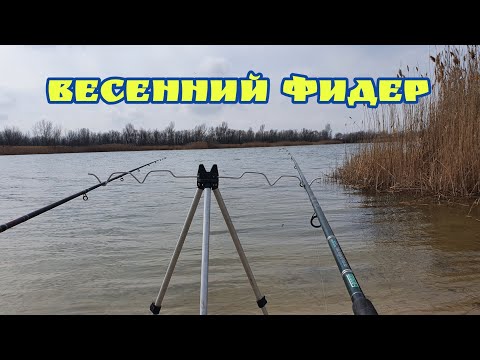 Видео: РЫБА ЛЮБИТ НАЖИВКУ КРЕВЕТКУ /  РЫБАЛКА  ВЕСЕННИЙ ФИДЕР НА ДОНУ