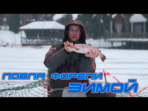 Видео: Ловля форели зимой. Подледная рыбалка