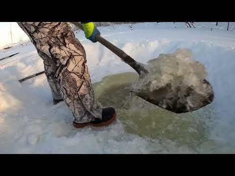 Видео: Зимний водопой для коров в -50. Лунка для водопоя