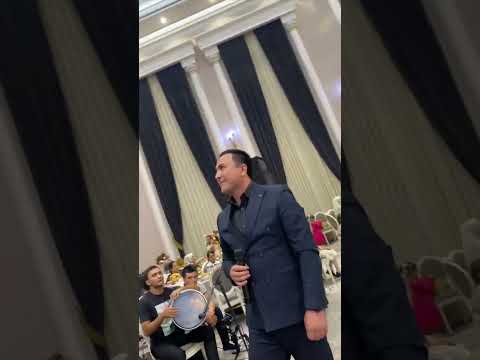 Видео: Донйор дийор гури туйда.