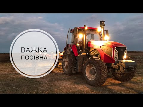 Видео: ВАЖКИЙ РІК ДЛЯ ПОСІВА РІПАКУ