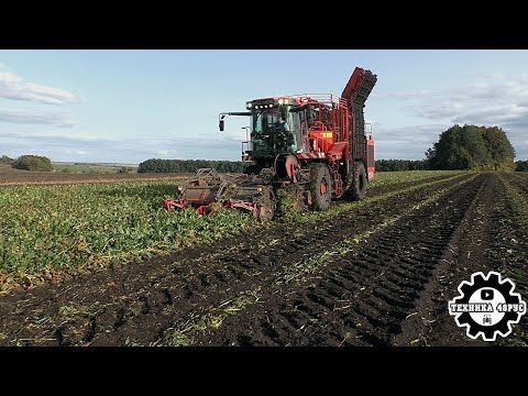 Видео: Комбайн Holmer Terra Dos T2. Уборка сахарной свёклы - Zuckerrüben und Holmer T2 harvester