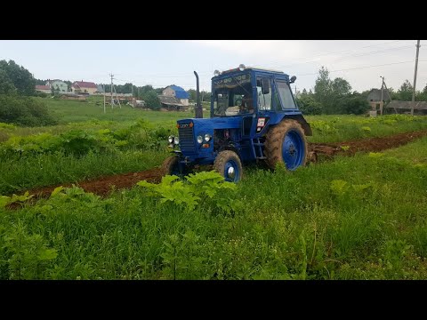 Видео: Трактор МтЗ 80, МТЗ -82 пахота плугом(СССР) 2020, ПнЛ- 3-35 ( советы, навыки) борьба с борщевиком