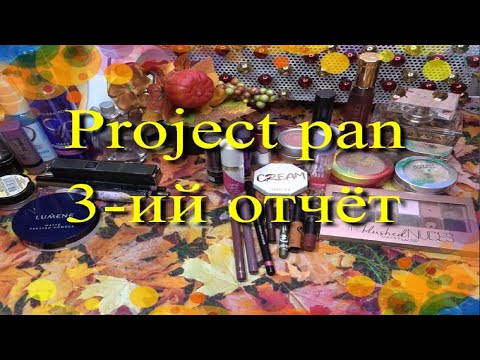 Видео: Project pan 2025 🦊 3-ий отчёт