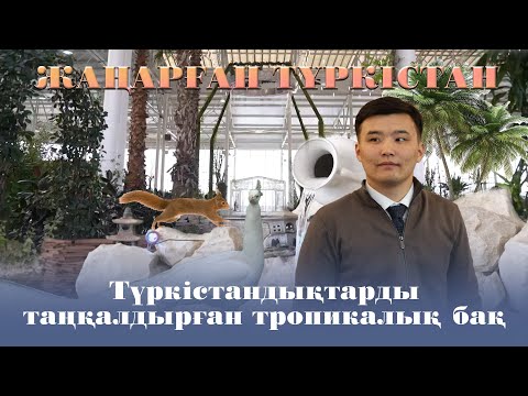 Видео: Жаңарған Түркістан | Түркістандықтарды таңқалдырған тропикалық бақ
