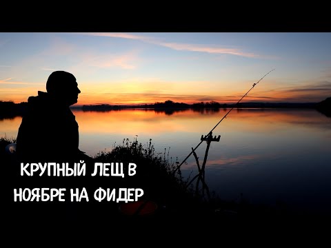 Видео: КРУПНЫЙ ЛЕЩ В НОЯБРЕ. В ЭТОТ РАЗ НАМ ОЧЕНЬ ПОВЕЗЛО.