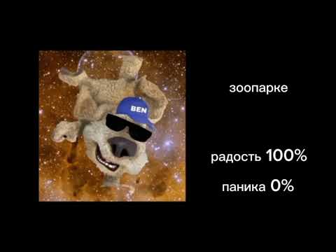 Видео: Ты в... :психованные лица бена