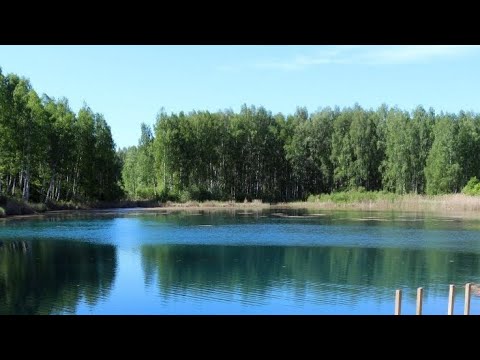 Видео: Якын дус кирәк! Ирек Габдрахманов көе һәм сүзләре