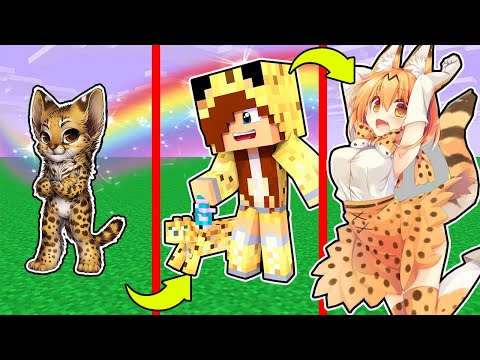 Видео: КАК МЕНЯЛАСЬ ДЕВУШКА КОШКА ПРИНЦЕССА МОБ ЕЁ ЖИЗНЕННЫЙ ЦИКЛ МАЙНКРАФТ! ЭВОЛЮЦИЯ И ТРОЛЛИНГ МУЛЬТИК