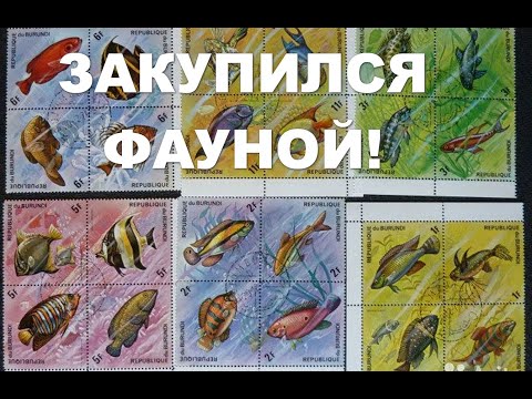 Видео: Распаковка марок (фауна)
