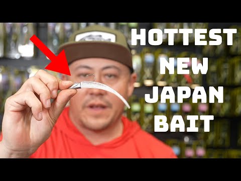 Видео: Это самая популярная новая японская техника, которая завоевывает США!