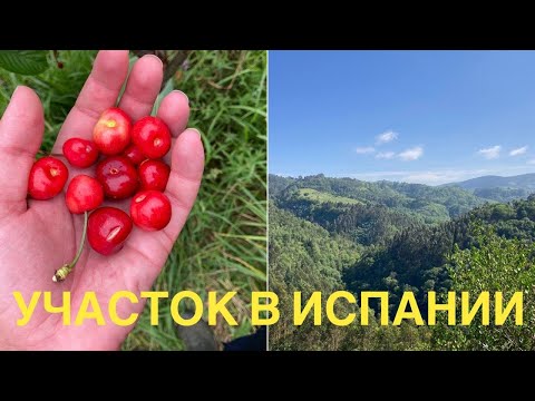 Видео: # 299 Земельный Участок В Испании. Дневник Май 2022. Астурия.  Север Испании. Купить Участок Испания