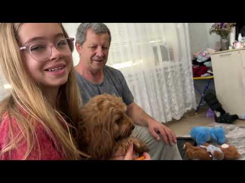 Видео: ПОКА ВСЕ ГУЛЯЮТ, Я ОТДЫХАЮ. 26.10.25.