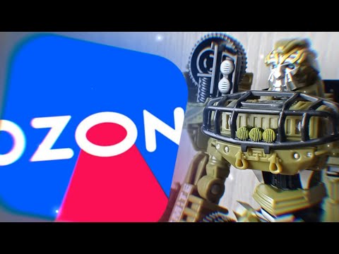 Видео: РЭТЧЕТ ЗА 600 РУБЛЕЙ С ОZON | Трансформеры #transformers #ozon #transformersprime