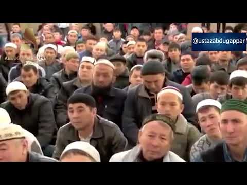 Видео: Қазақ елінде Салафиттердің ұстазы кімдер? 💚 АЛИ студиясы