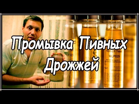 Видео: Промывка пивных дрожжей