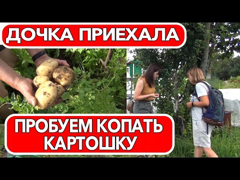 Видео: Дочка приехала Пробуем копать картошку