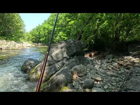 Видео: Рыбалка на красивой горной речке Приморского края.\\ Июнь.