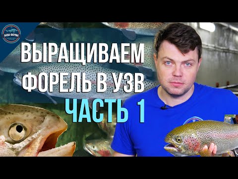 Видео: Выращивание форели в узв часть 1