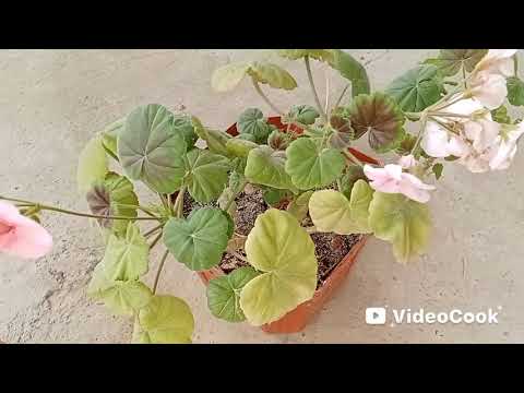 Видео: 14 ноября 2025 г.bugungi kunim