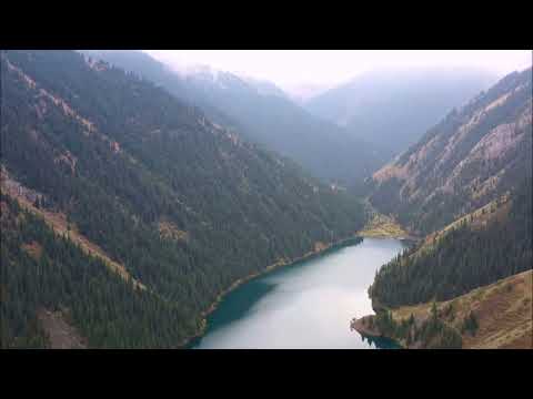 Видео: Думан Бейбітханұлы - "Пай, пай, Өмір!"