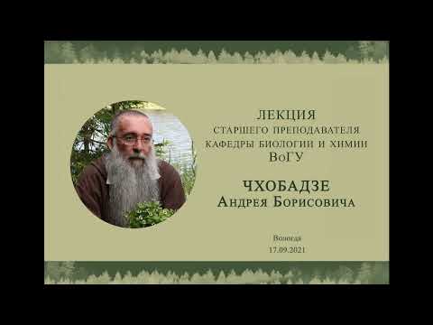 Видео: Лекция "Обычные и необычные леса Вологодской области"