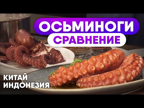 Видео: Как правильно выбрать осьминога? Рецепт блюда из Осьминога от шефа. Сравнение и приготовление.