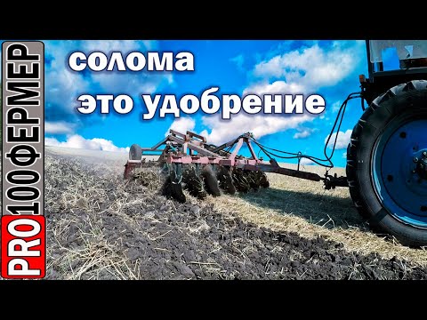 Видео: Два МТЗ дискуют поле. Превращаем солому в удобрение