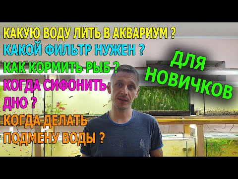 Видео: Для новичков  Какую воду лить в аквариум, сколько кормить рыбок