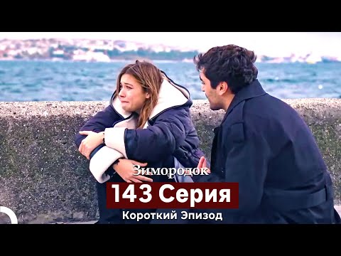 Видео: Зимородок 143 Cерия (Короткий Эпизод) (Русский дубляж)