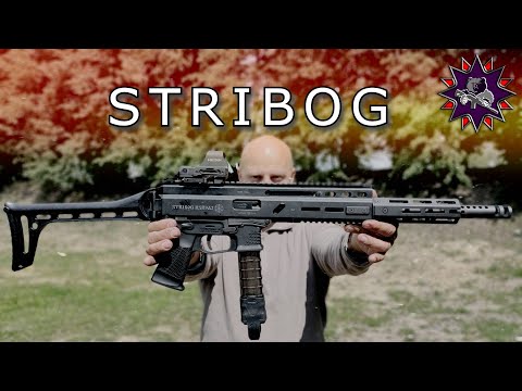 Видео: STRIBOG - хороший карабин с недостатками