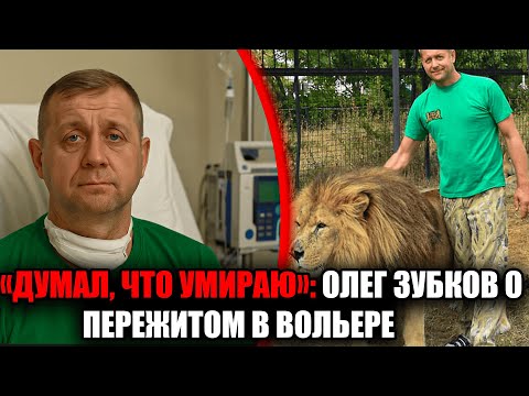 Видео: олег зубков впервые рассказал, как собственный лев повалил его и пытался загрызть до смерти