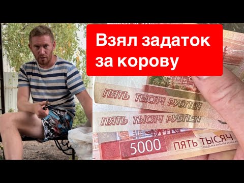 Видео: ВЗЯЛ ЗАДАТОК ЗА КОРОВУ 🐂 ВЕСЬ ДЕНЬ С СЕНОМ, У СЕБЯ И У СОСЕДЕЙ 🌾🌾🌾