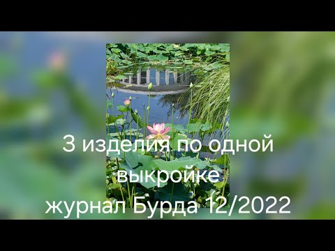 Видео: Платье и блузки по выкройке из журнала Бурда 12/2022. 42 размер подходит на 46 (52)