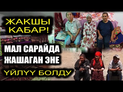 Видео: Майып балдары менен МАЛ САРАЙДА жашаган эне ҮЙЛҮҮ болду | Үйдү кантип алды?