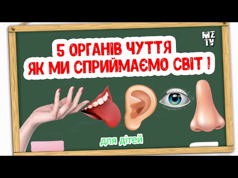 Видео: П'ять Органів Чуття  - Як Ми Сприймаємо Світ. Цікаве відео для дітей