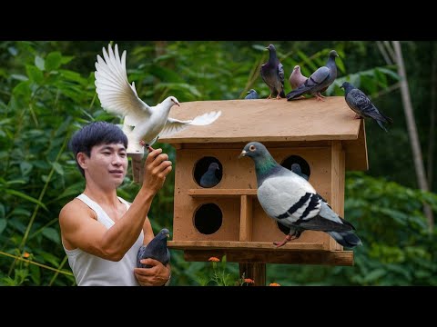Видео: Возвращение и погружение в природу — восхитительный момент генерального директора Триеу Дана