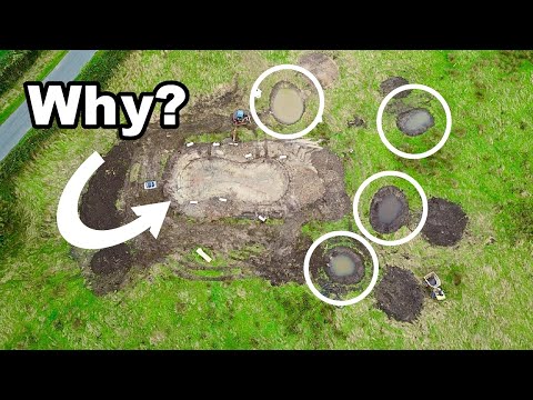 Видео: Я превращаю поле в это — вот почему