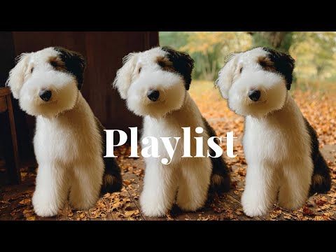Видео: [Playlist] Музыка для уютных дней в кафе 🍵Плейлист без рекламы🎧