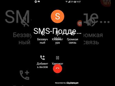 Видео: Ко мне пришла сорока ворона!