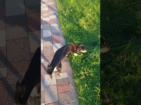 Видео: 5 сентября 2025 г.