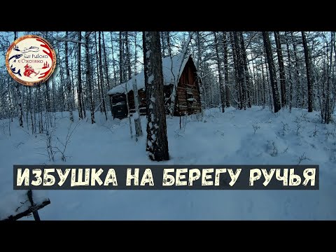 Видео: Промысловый сезон охоты в Якутии 2020. Путь к далёкой избушке. Ночь в спальнике в -43.