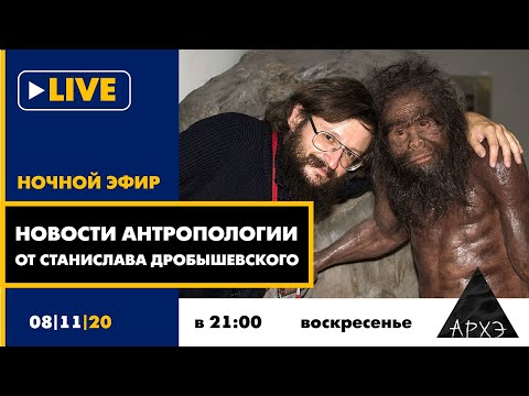 Видео: Ночной АРХЭфир "Новости антропологии от Станислава Дробышевского"